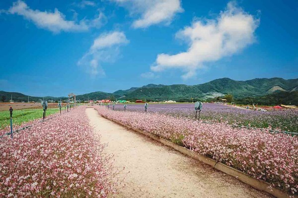 밤에도 반짝이는