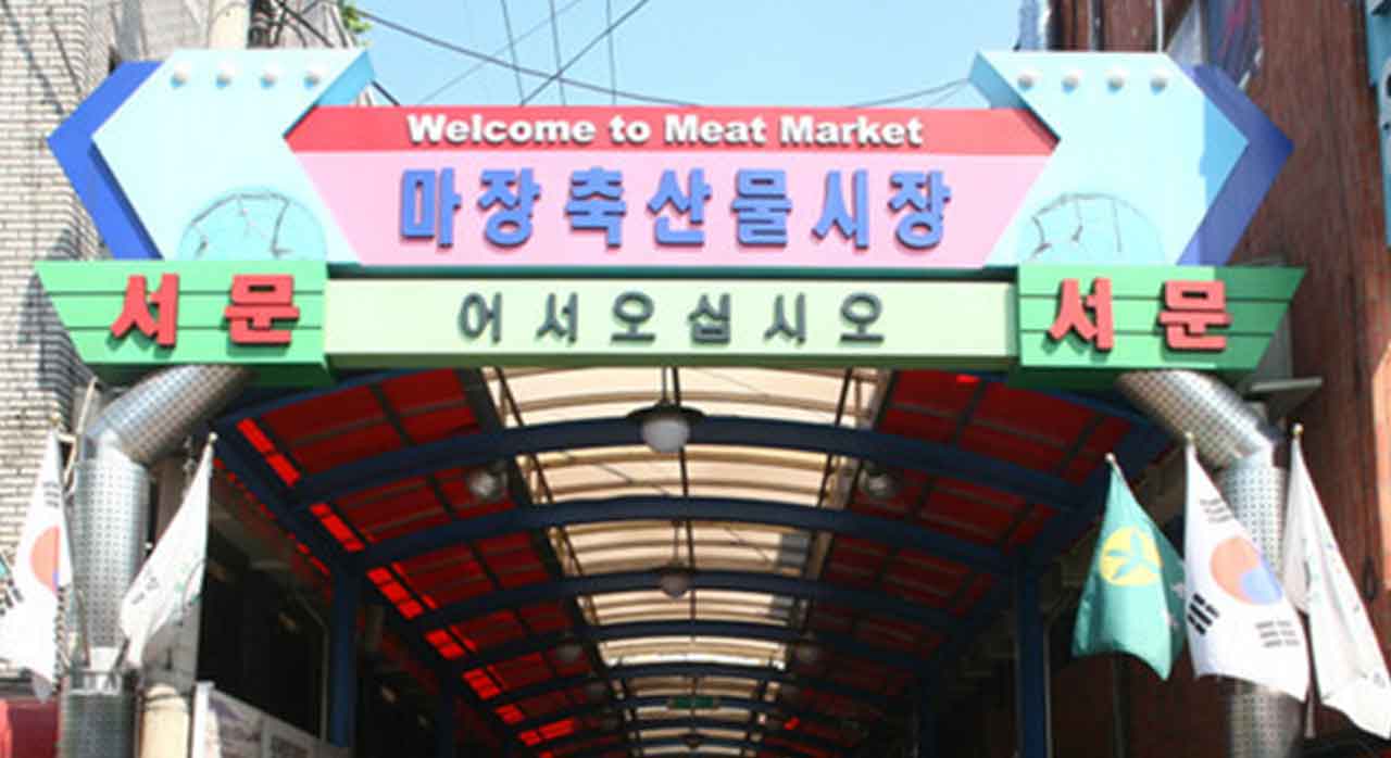 병오년에 떠나는 ‘말(馬)’의 여정…서울 속 숨겨진 말 지명 여행지 3선
